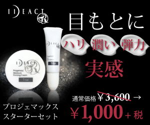 プロジェマックス300x250_1000yen